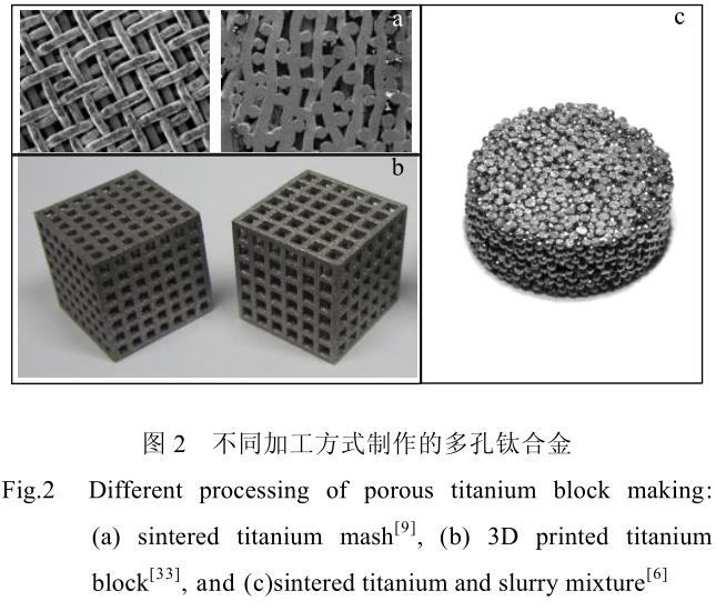 1689822994975901.jpg t2.jpg