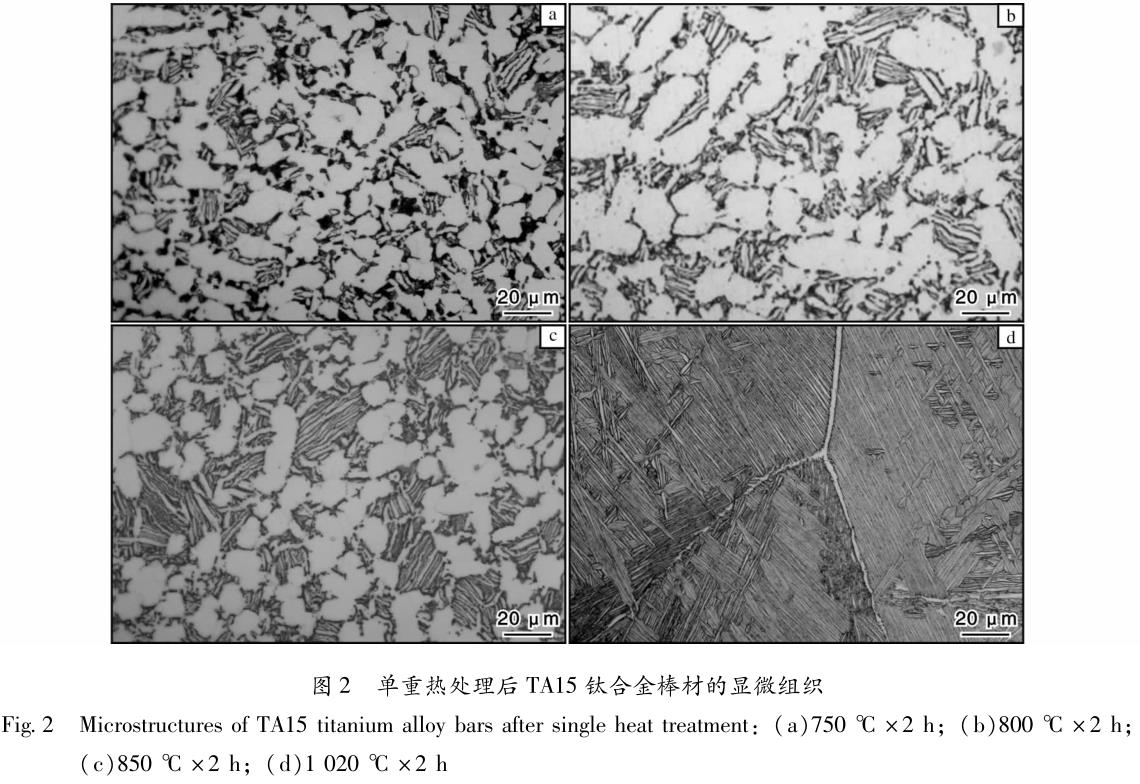 1695565456427391.jpg t2.jpg