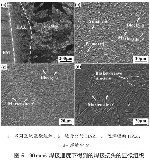 1695741981819623.jpg t5.jpg