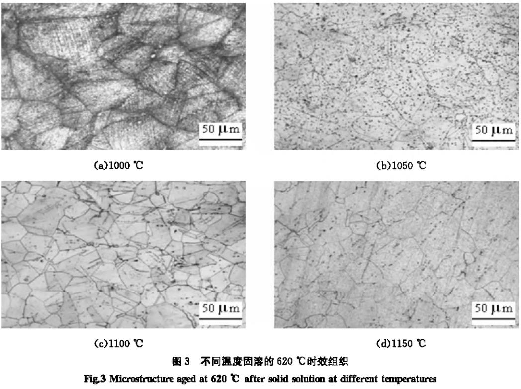 1695767347606749.jpg t3.jpg