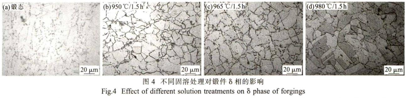 1696200134707140.jpg t4.jpg