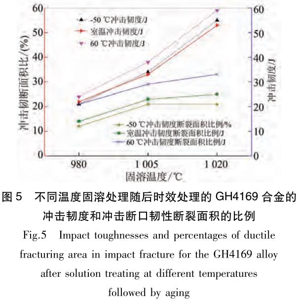 1696211857815291.jpg t5.jpg