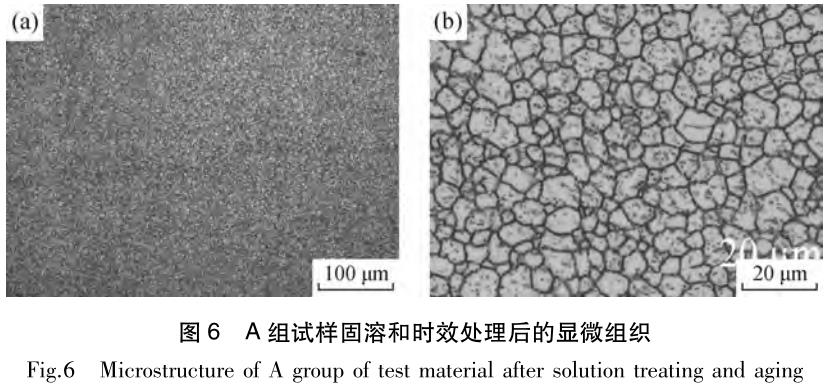 1696211869238403.jpg t6.jpg