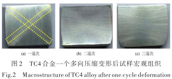 1696505456359147.jpg t2.jpg