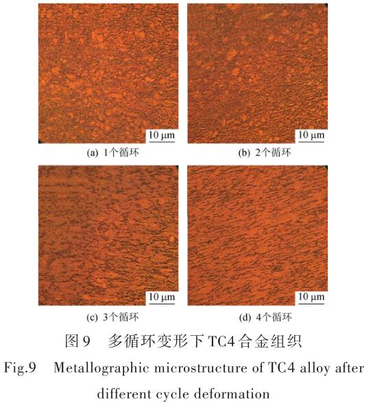 1696505538814951.jpg t9.jpg