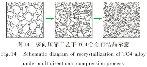 1696505580822810.jpg t14.jpg