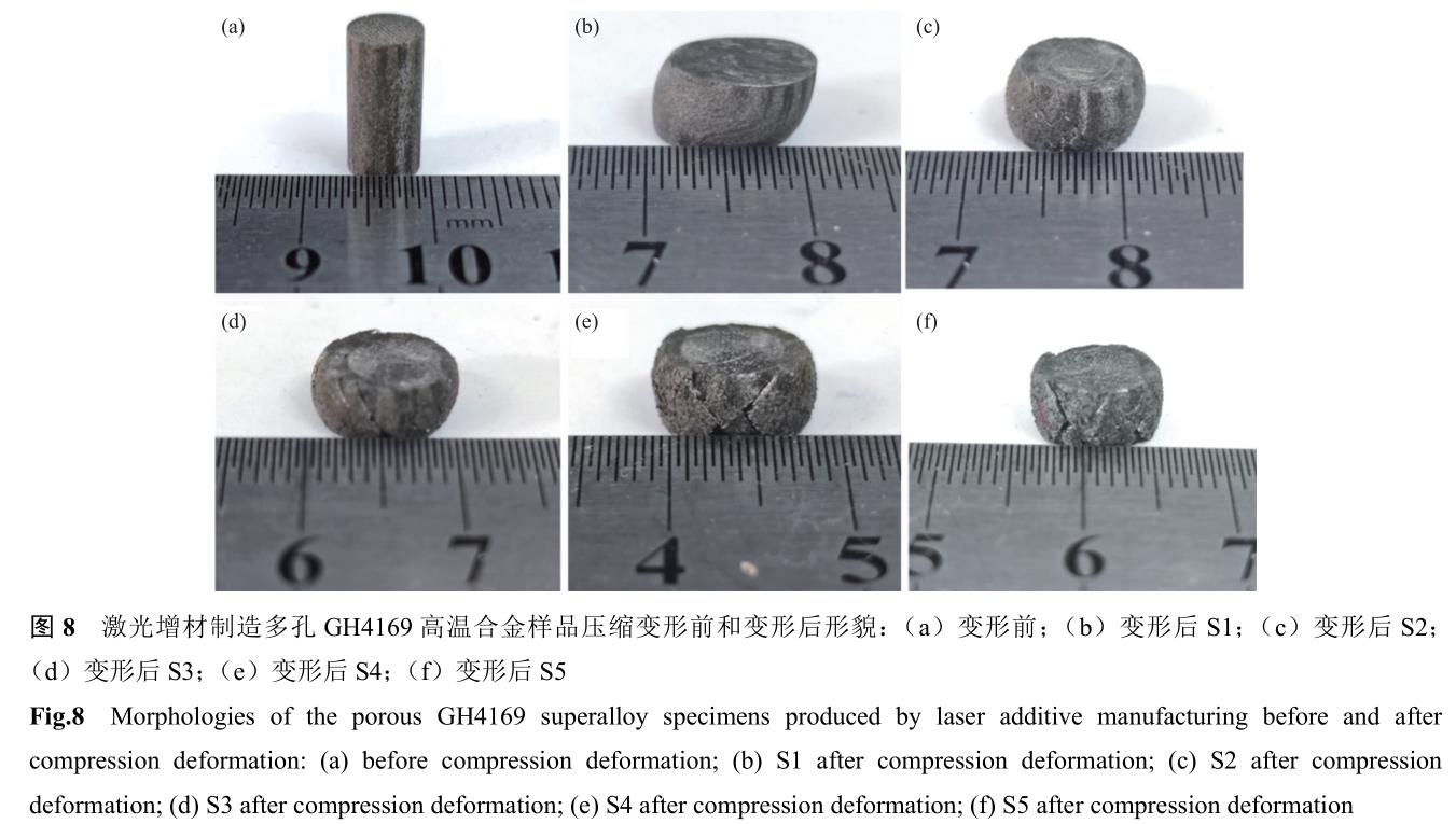 1701038016749312.jpg t8.jpg