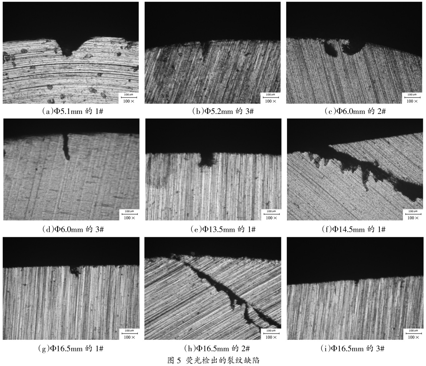 1701076942893692.jpg t5.jpg