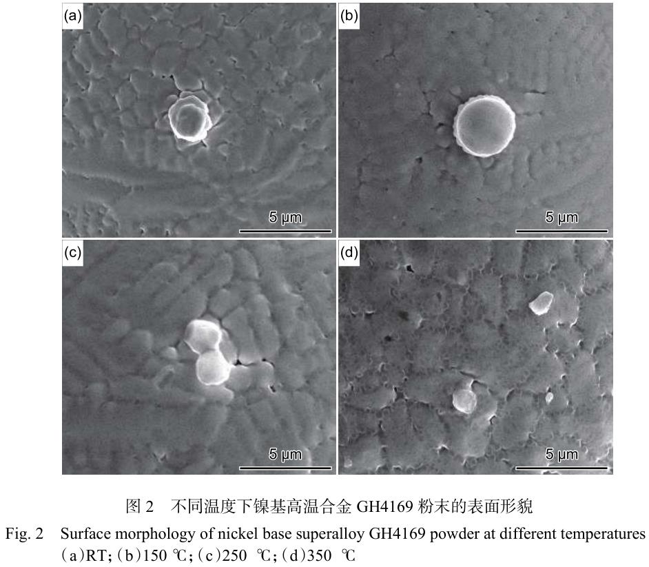 1713693151781225.jpg 360截圖162906085666104.jpg