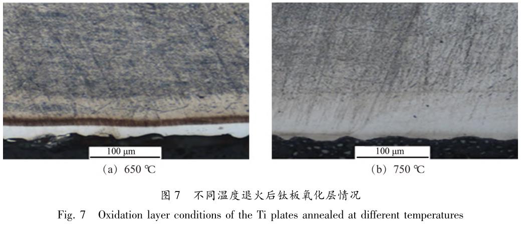 1705999555879132.jpg t7.jpg