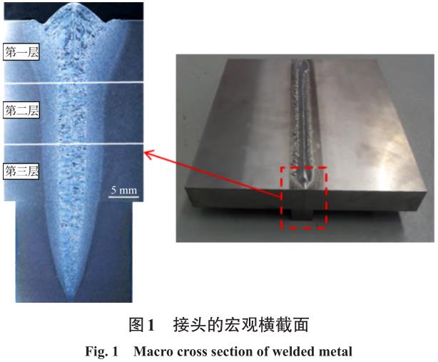 1708346396438245.jpg t1.jpg