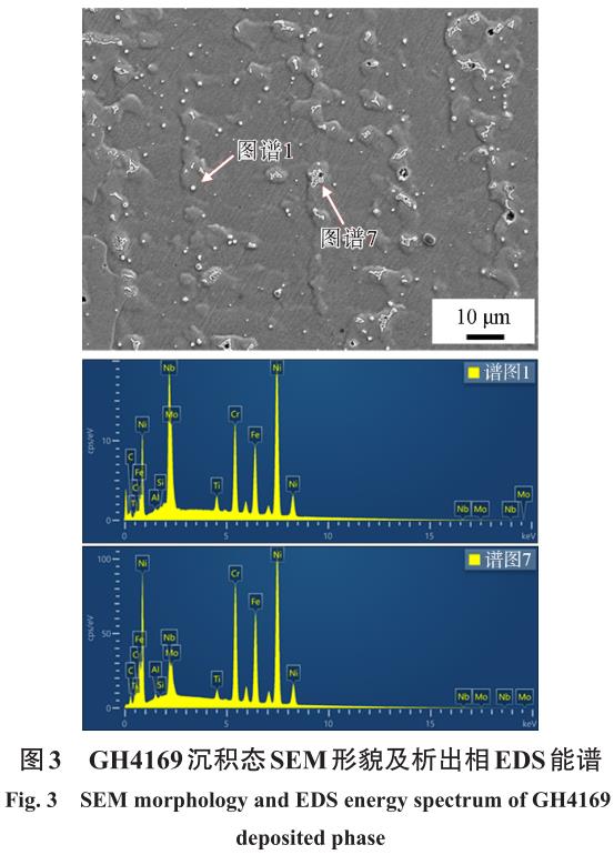 1716214884988583.jpg 360截圖16770810342970.jpg