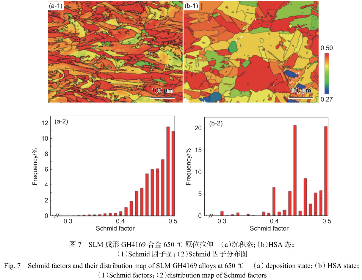 1716285256361949.jpg 未標題-6.jpg