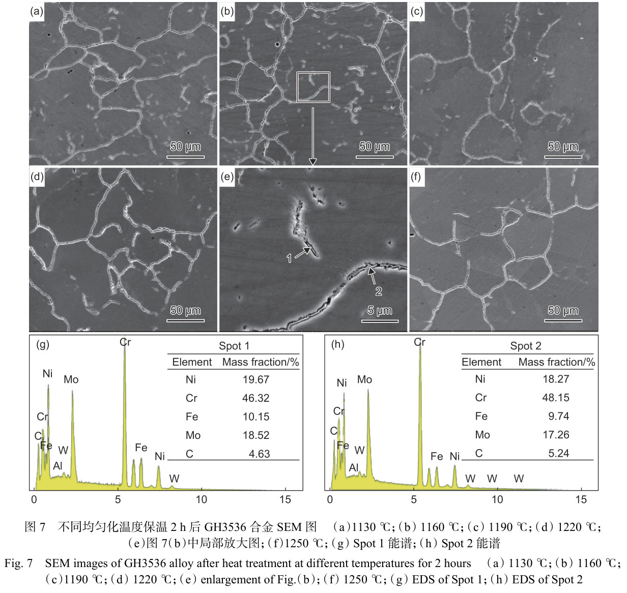 1716295741253323.jpg 未標題-3.jpg