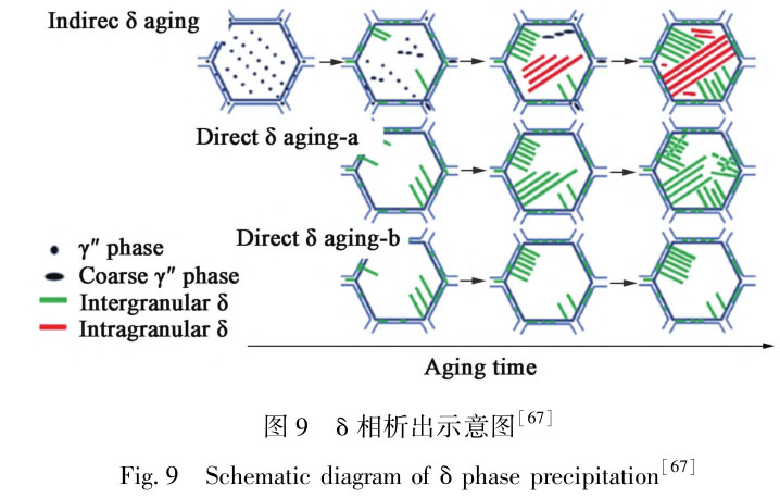 1716558968462468.jpg t9.jpg