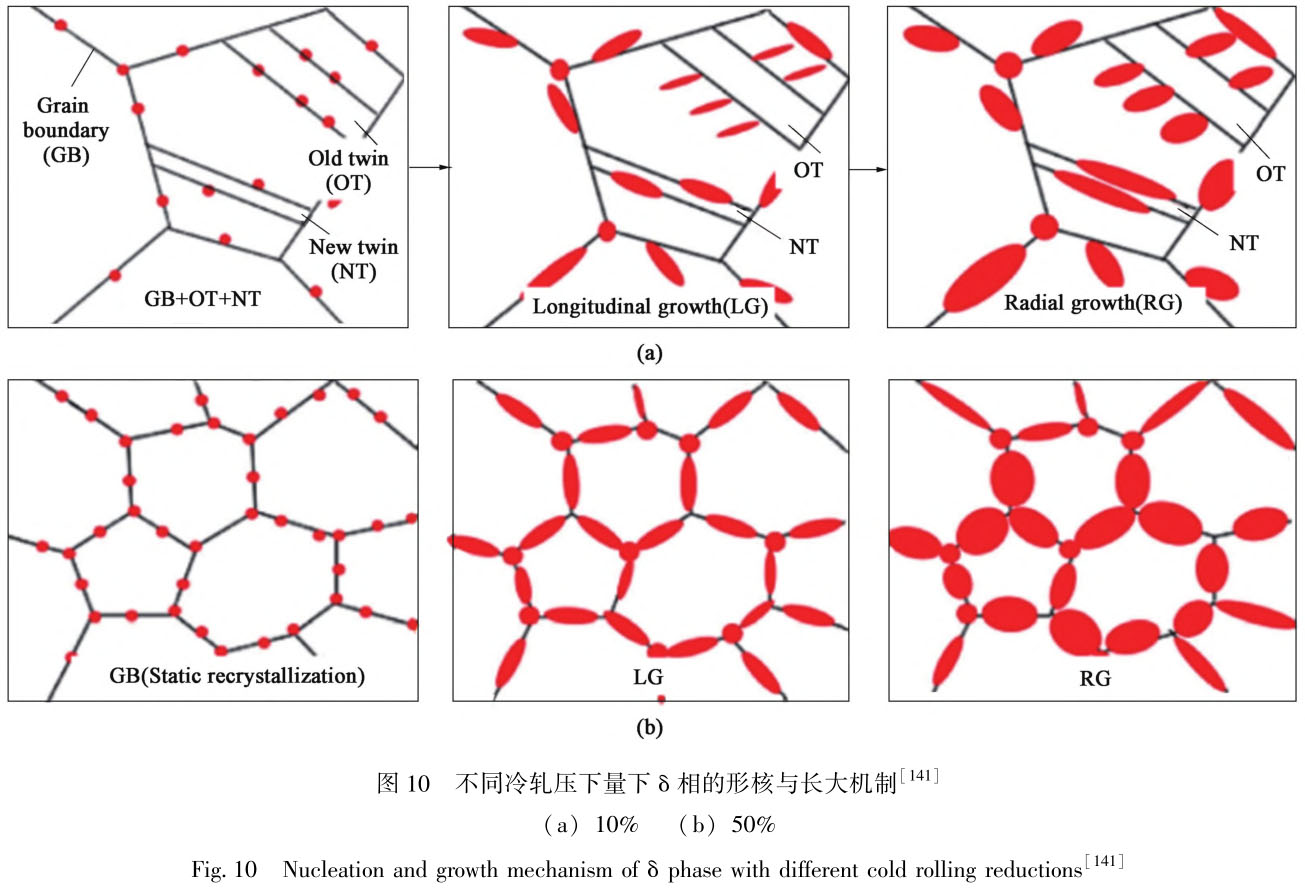 1716558977527658.jpg t10.jpg