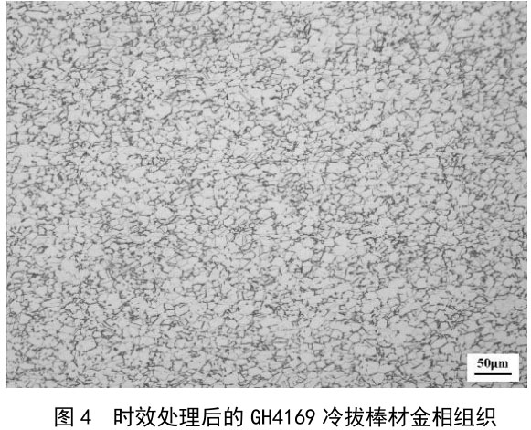 1716603313404950.jpg t4.jpg