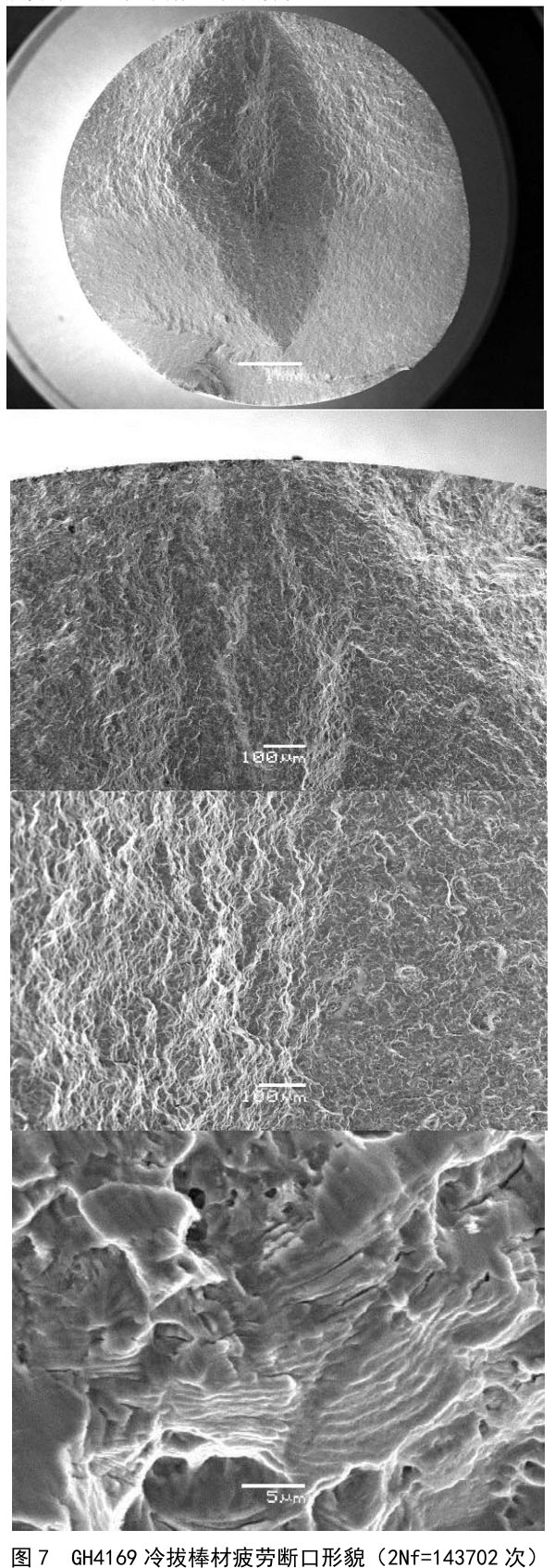 1716603373569818.jpg t7.jpg