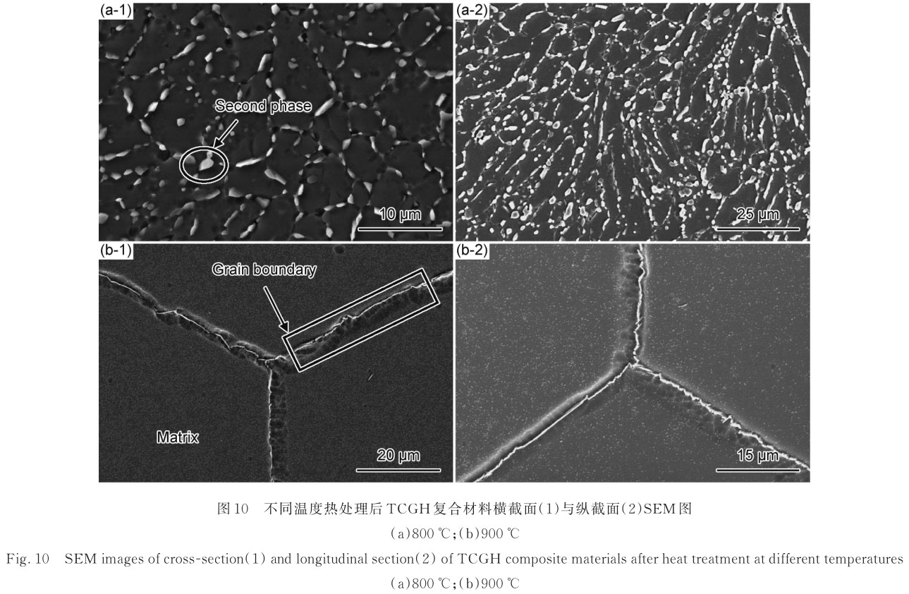 1720841343771686.jpg t10.jpg