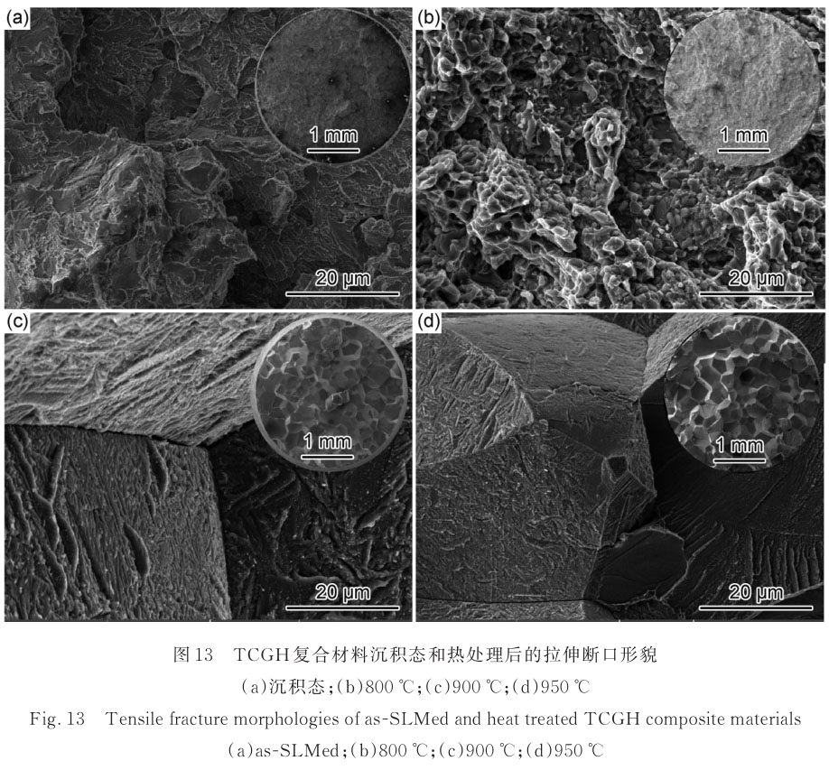 1720841372225661.jpg t13.jpg