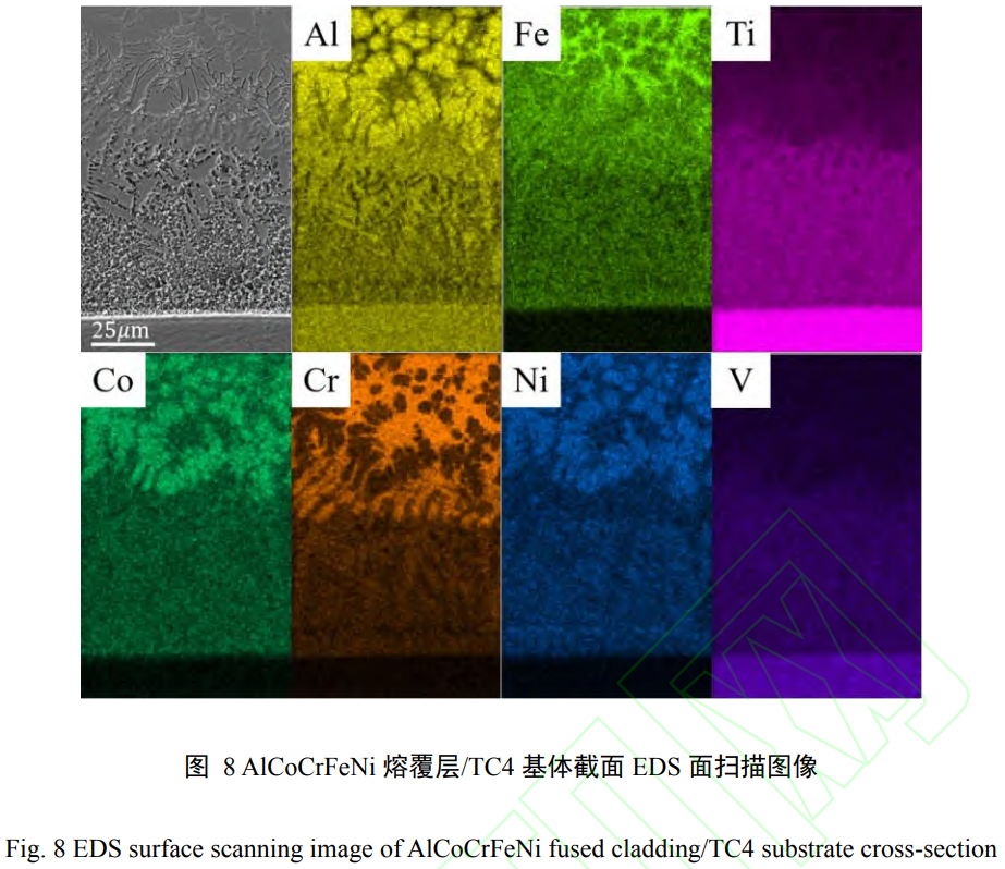 1739076862294495.png t8.png