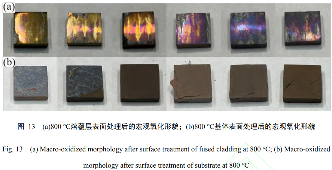 1739076983491114.png t13.png