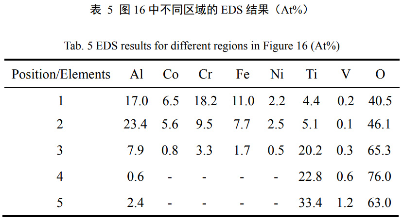 1739077026375849.jpg b5.jpg